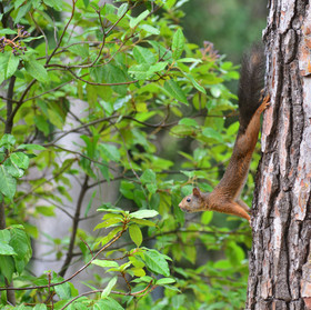 MISE A  JOUR  en cours