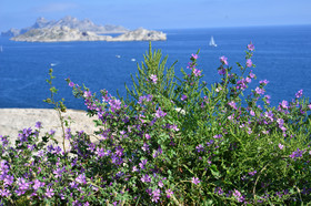 MISE A  JOUR  en cours