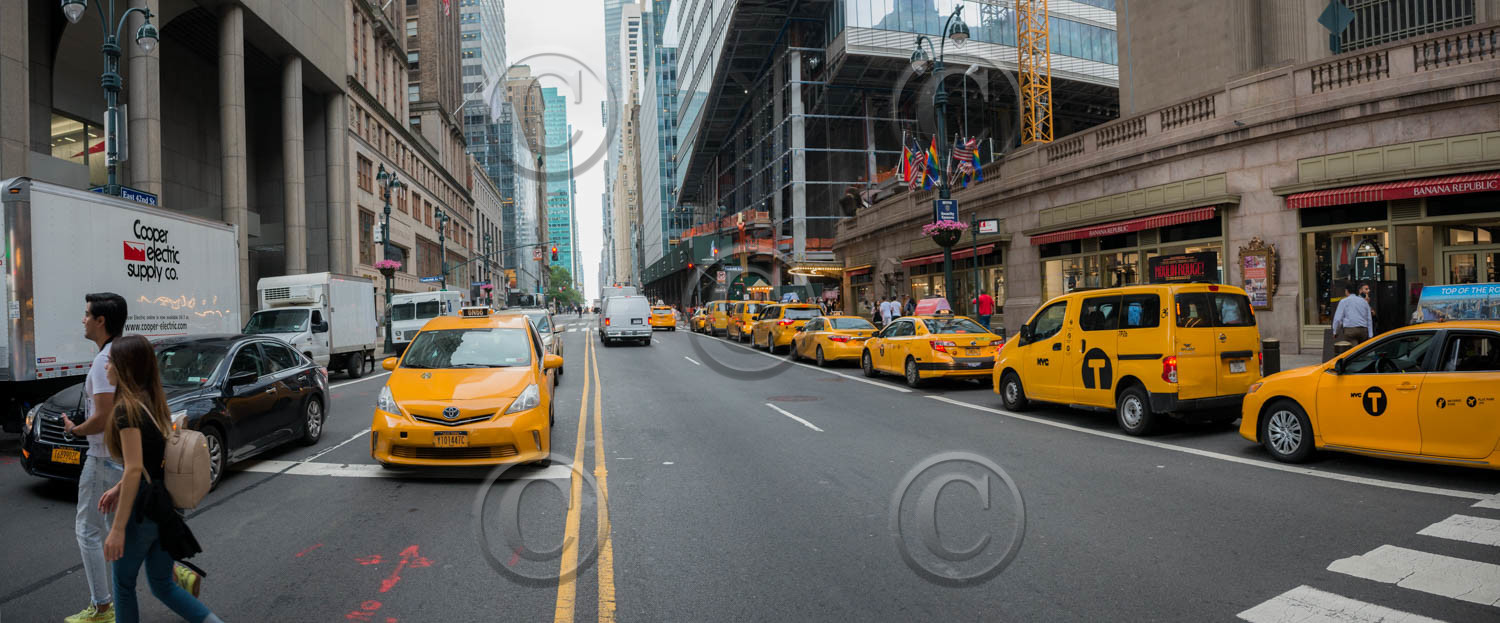 new york 2019