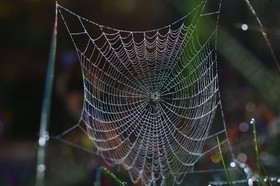 Photo de la sainte baume