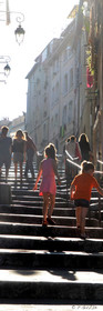Selection format 20X60 cm