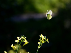 MISE A  JOUR  en cours