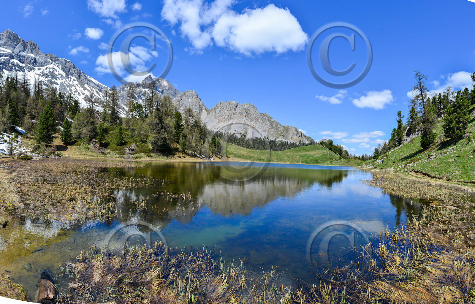 mai_6281-panorama.jpg