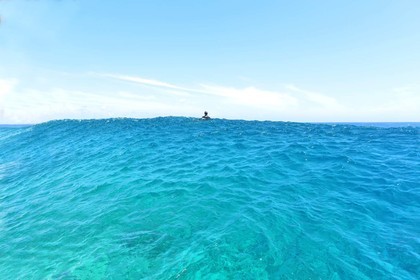 aaaaaadsc_2613-le-haut-de-la-vague-copiekjbkb-copie.jpg