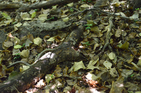 MISE A  JOUR  en cours