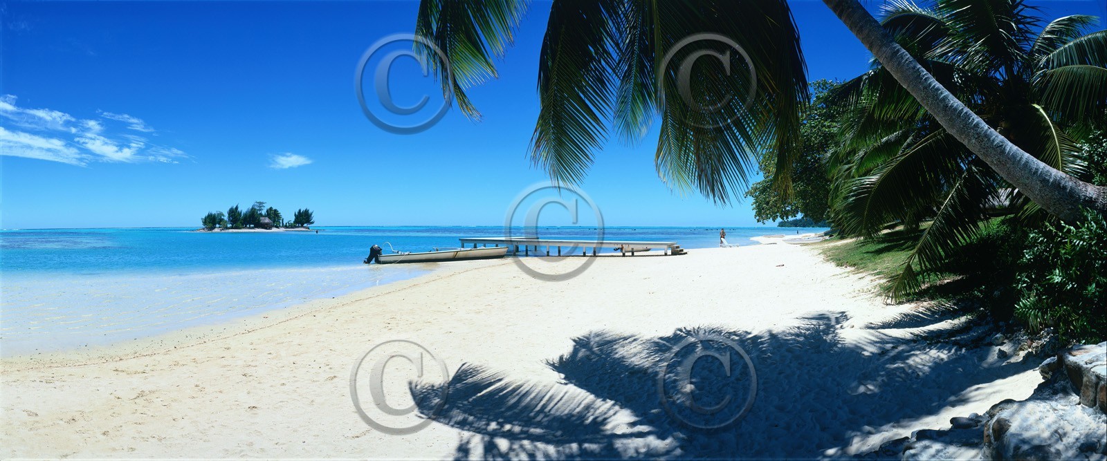 ref-120_15-tahiti-morea-palmier-120x50-sable-blanc-travaille.jpg
