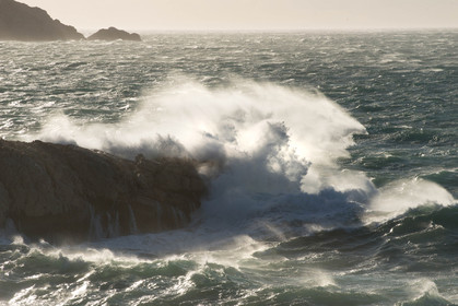 mistral 9 janvier