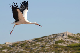 MISE A  JOUR  en cours