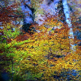 Photo de la sainte baume