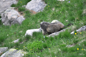 MISE A  JOUR  en cours