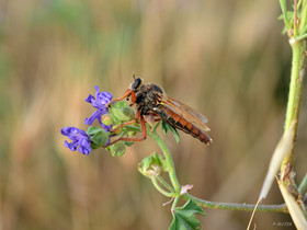 MISE A  JOUR  en cours