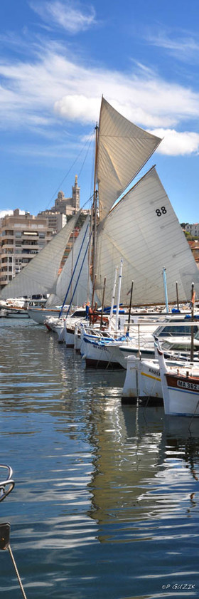 Selection format 20X60 cm