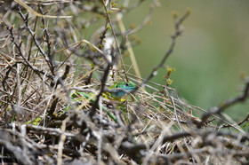 MISE A  JOUR  en cours