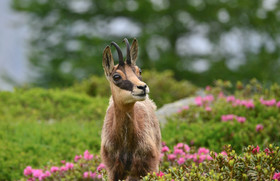 MISE A  JOUR  en cours