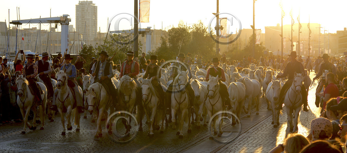aab_9313-copie-3.tiff