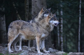 MISE A  JOUR  en cours