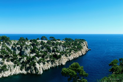 rull-16-ref-95-145-03-port-pin-copie.jpg
