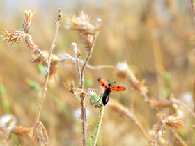 MISE A  JOUR  en cours