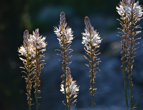 Photo de la sainte baume