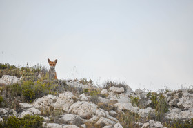 MISE A  JOUR  en cours